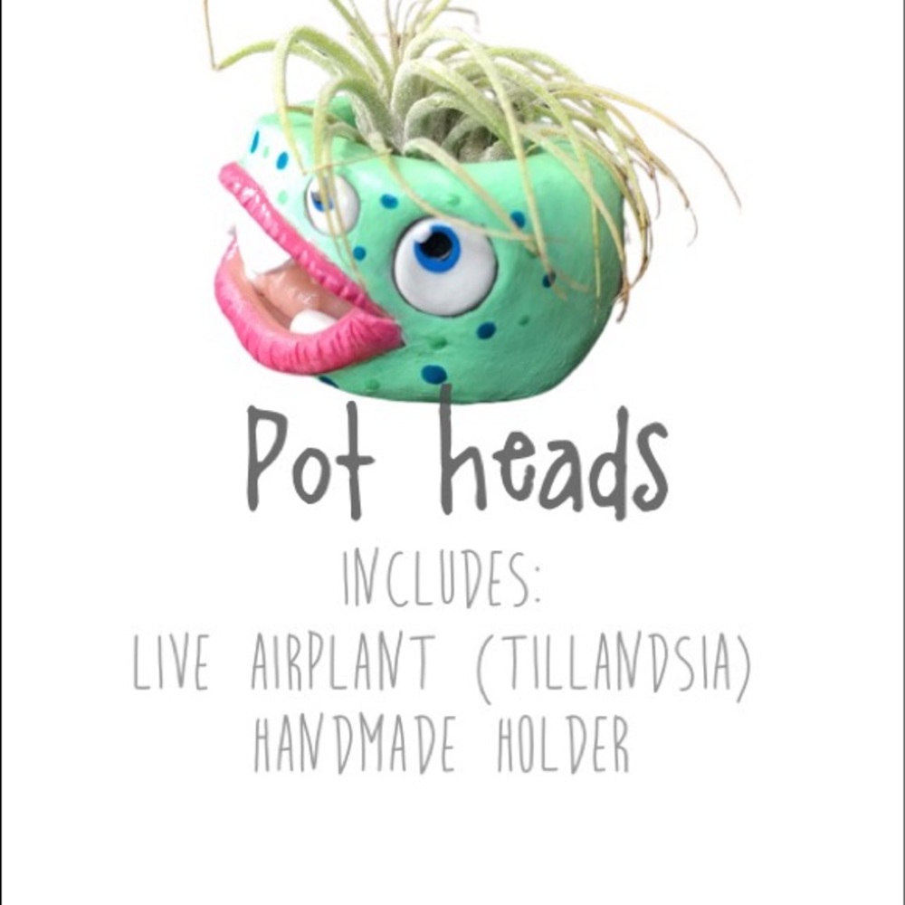 Handmade Airplant holders w/plant